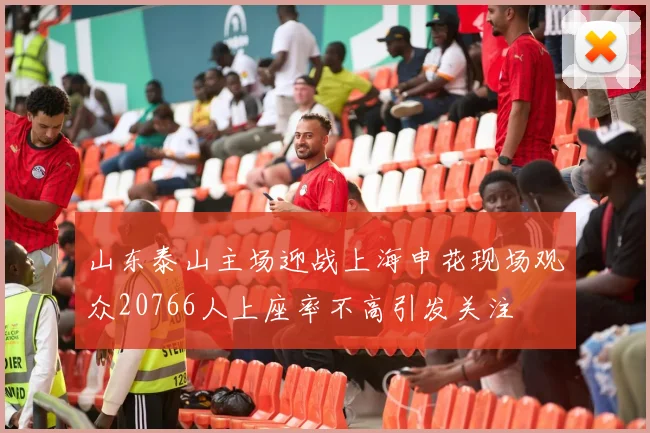 山东泰山主场迎战上海申花现场观众20766人上座率不高引发关注