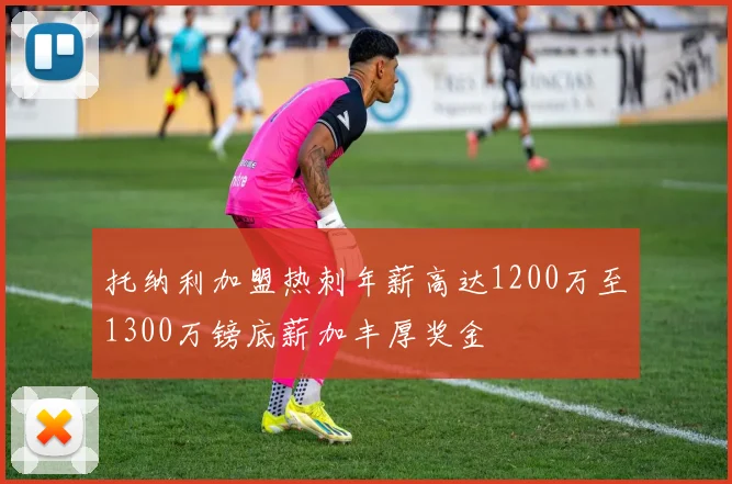 托纳利加盟热刺年薪高达1200万至1300万镑底薪加丰厚奖金