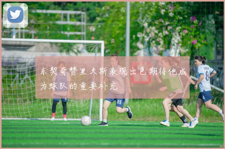 东契奇赞里夫斯表现出色期待他成为球队的重要补充