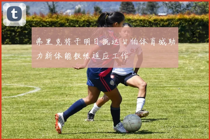 弗里克将于明日抵达甘伯体育城助力新体能教练适应工作